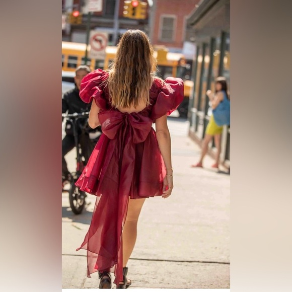 NWT Aje Gretta Tie Organza Burgundy Mini Dress Size Medium Open Back V neck - Picture 5 of 10